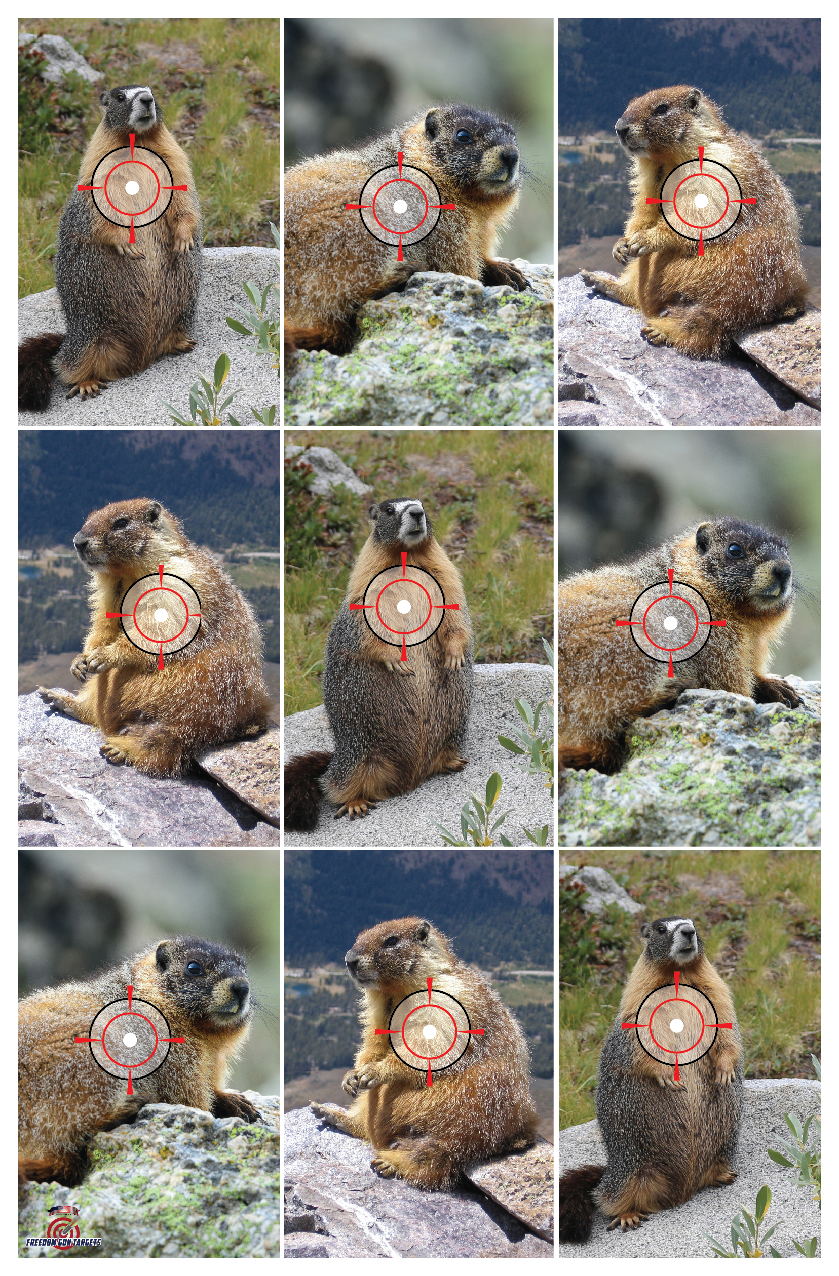 Gopher Target - 25 Pack – Freedom Gun Targets