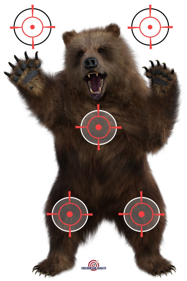 3-D Brown Bear Target 12